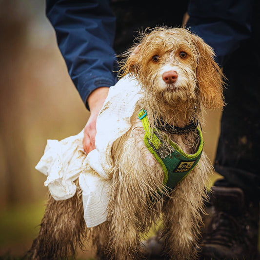 Mud and Mischief Biodegradable Duo Woofle Dog Towel Pack